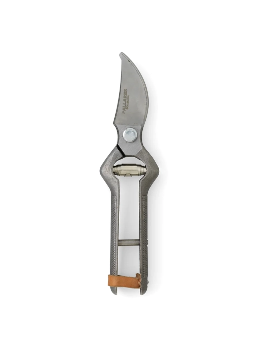 4861039_Pallares_plant_Pruner_in_sheet_WEB_2.webp
