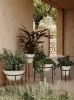 MENU_Daiza_Planters_2.webp