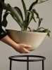 MENU_Daiza_Planter_14.webp