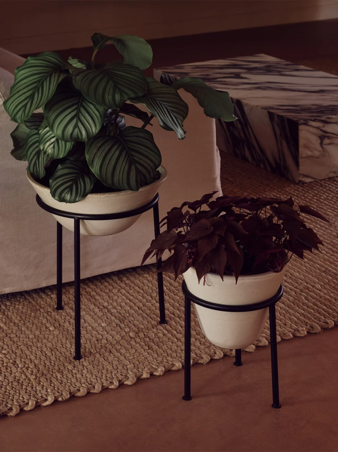 MENU_Daiza_Planters.webp
