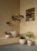MENU_Plantas_Planter_15.webp