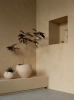 MENU_Plantas_Planter_2_1.webp