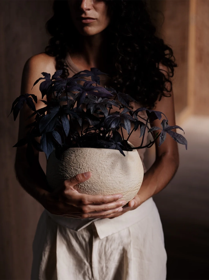 MENU_Plantas_Planter_2.webp