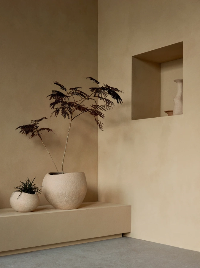 MENU_Plantas_Planter_2_1.webp