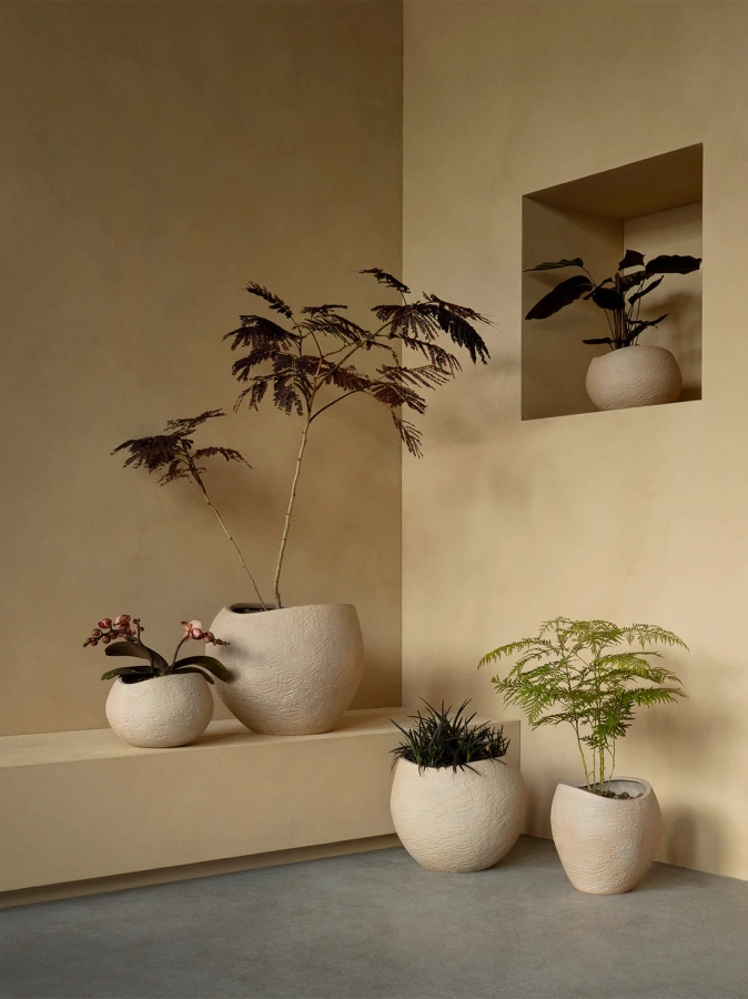 MENU_Plantas_Planter_15.webp