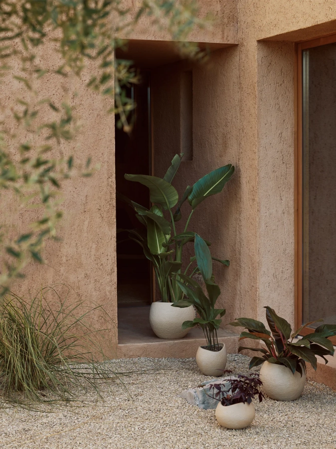MENU_Plantas_Planters.webp