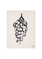 Lena_Wigers_Grapes_Product_Low_Res.jpg