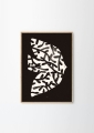Matias_Larrain_Forest_Bird_Frame_Oak_Low_Res-1000x1400.jpg