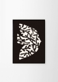 Matias_Larrain_Forest_Bird_Frame_Black_Oak_Low_Res-1000x1400.jpg