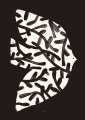 Matias_Larrain_Forest_Bird_Product_Low_Res.jpg