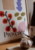 Matias_Larrain_Provence_Close_Up_Low_Res-kopi-1000x1401.jpg