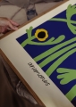 Madelen_Mollard_Yellow_Anemones_Close_Up_Low_Res-1000x1400.jpg