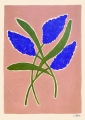 Carla_Llanos_Butterfly_Bush_Product_Low_Res.jpg