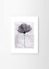 Ana_Frois_Flower_No_04_Frame_White_Oak_Low_Res-1000x1400.jpg