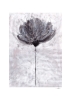 Ana_Frois_Flower_No_04_Lifestyle_Low_Res-1.jpg