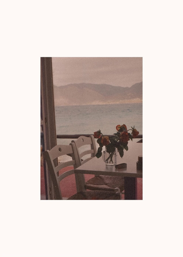 Ana_Santl_Dine_with_Me_Product_Low_Res.jpg