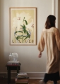 Carla_Llanos_Lilies_Lifestyle_Low_Res-1000x1400.jpg