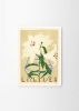 Carla_Llanos_Lilies_Frame_White_Oak_Low_Res-1000x1400.jpg