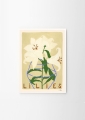 Carla_Llanos_Lilies_Frame_White_Oak_Low_Res-1000x1400.jpg