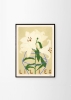 Carla_Llanos_Lilies_Frame_Black_Oak_Low_Res-1000x1400.jpg