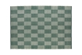 AA269-A883-AL53_Small Check Rug 170x240 green.jpg