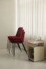 ATD_Contract_2023_Rely HW66_Rotate SC73_Collect Glass SC78_Collect glass SC60_Collect Carafe SC62.jpg