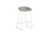 AA074-D144-AA51_AAS 38 H65 fall green 2.0 shell_white powder coated steel base.jpg