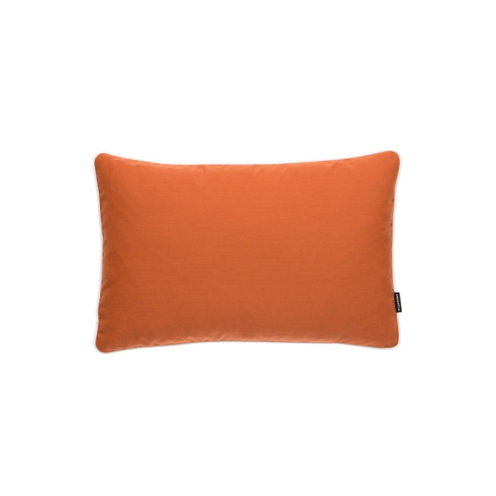 PALE ORANGE.jpg