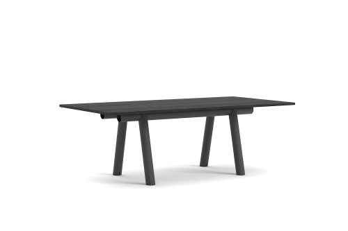 AE106-D394-AH25_Boa Table L220xW110xH75 black wb lacquered oak tabletop_charcoal powder coated alu frame.png