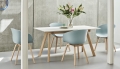 AAC 22 dusty blue 2.0 shell wb lacquer oak_CPH 30 Extendable off white lino wb lacquer oak frame_Tint Tumbler green.jpg