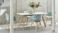 AAC 22 dusty blue 2.0 shell wb lacquer oak_CPH 30 Extendable off white lino wb lacquer oak frame_Tint Tumbler green.jpg