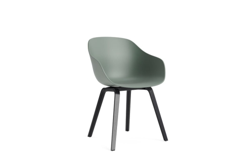 AC110-D144-AA51_AAC 222 fall green 2.0 shell_black wb lacquer oak base.jpg