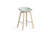 AA003-D141-AA51_AAS 32 H65 dusty mint 2.0 shell_wb laquered oak base_stainless steel footrest.jpg