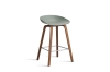 AB244-D144-AA51_AAS 32 H65 fall green 2.0 shell_wb laquered walnut base_stainless steel footrest.jpg