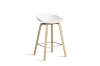 AA003-D159-AA51_AAS 32 H65 white 2.0 shell_wb laquered oak base_stainless steel footrest.jpg