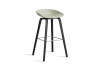 AA004-D150-AA51_AAS 32 H75 pastel green 2.0 shell_black wb laquered oak base_stainless steel footrest.jpg