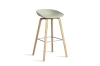 AA006-D150-AA51_AAS 32 H75 pastel green 2.0 shell_wb laquered oak base_stainless steel footrest.jpg