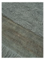 3000840_2_Ethos_View_cactus_close_up_1_638157757150000000_1350x1800.webp