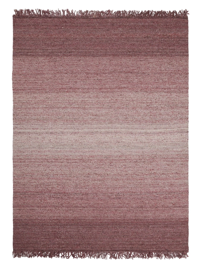 2049450_2_fritskrab_Frei_Rose_638169798890000000_1350x1800.jpg