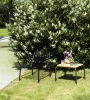 2023_Vig_Lounge_Chair_Black_Vig_Table_55x45cm_Wood_Dark_Green.jpg