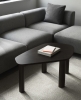 2023_Sculp_Large_Brown_Stained_Ash_Rar_Cushion_Re-Born_Dark_Grey.jpg