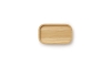 Astro Tray 12x202.png