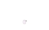Little Bird 3 cm1.png