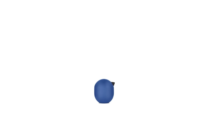 Little Bird 45 cm1.png