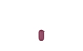 Little Bird 5 cm1.png