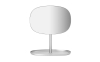 Flip Mirror1.png