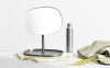 Flip Mirror4.png