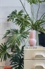 SHOWROOM22 18 LR.jpg