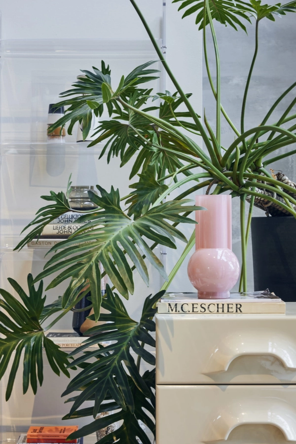SHOWROOM22 18 LR.jpg
