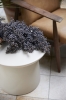 2023 Additions Hkliving Lores 01 050.jpg
